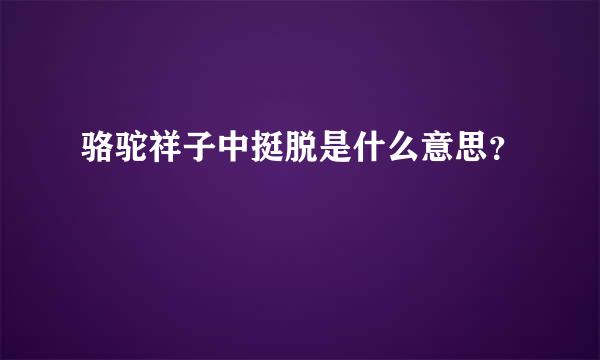 骆驼祥子中挺脱是什么意思？