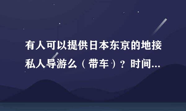 有人可以提供日本东京的地接私人导游么（带车）？时间是从今年12月26日至30日在东京以及东京周边玩。