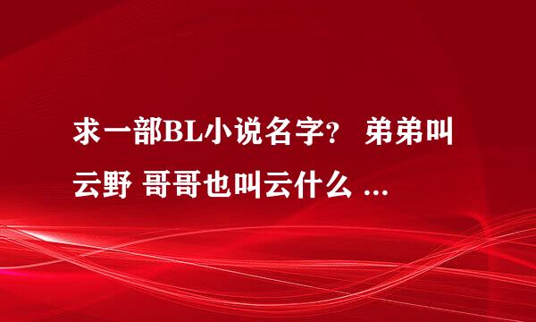 求一部BL小说名字？ 弟弟叫云野 哥哥也叫云什么 ，名义上是兄弟，其实不是亲的。