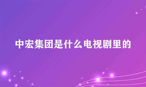 中宏集团是什么电视剧里的