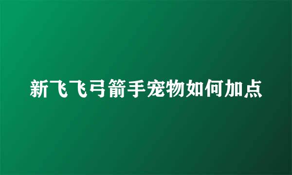 新飞飞弓箭手宠物如何加点