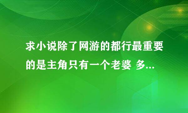 求小说除了网游的都行最重要的是主角只有一个老婆 多了就不要推了 悬赏30分！！！