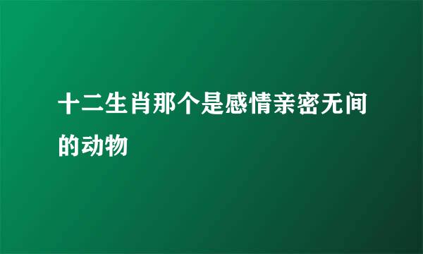 十二生肖那个是感情亲密无间的动物