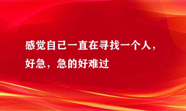 感觉自己一直在寻找一个人，好急，急的好难过