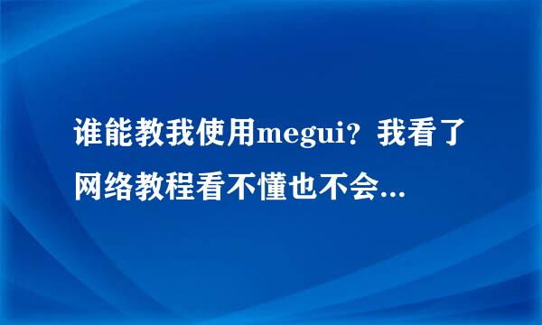 谁能教我使用megui？我看了网络教程看不懂也不会安装啊！！,求教~