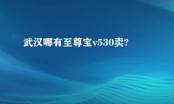 武汉哪有至尊宝v530卖?