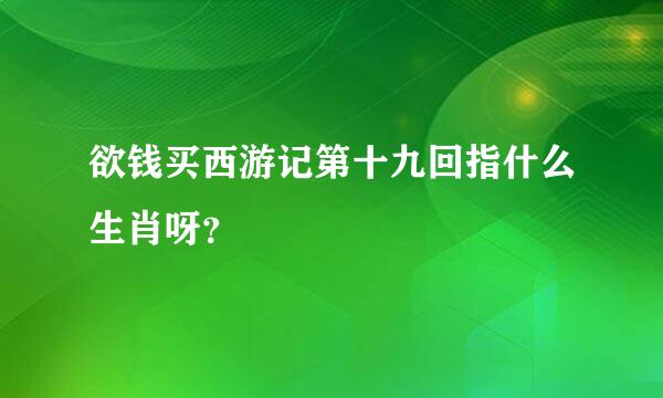 欲钱买西游记第十九回指什么生肖呀？