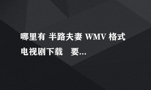 哪里有 半路夫妻 WMV 格式 电视剧下载   要迅雷的不要BT