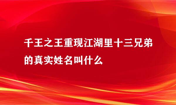 千王之王重现江湖里十三兄弟的真实姓名叫什么