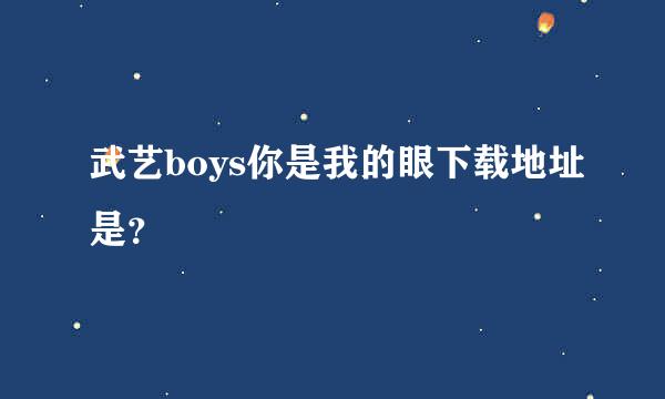 武艺boys你是我的眼下载地址是？