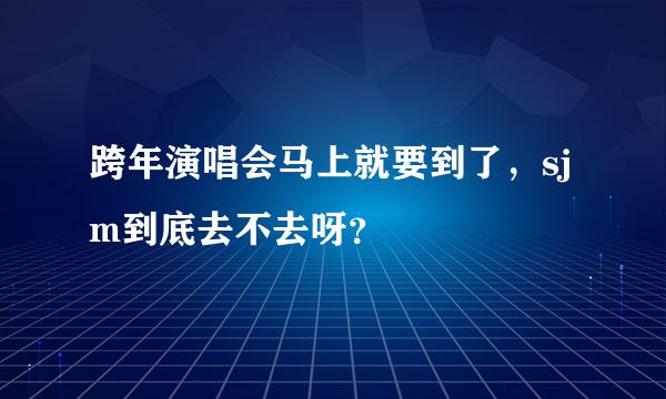 跨年演唱会马上就要到了，sjm到底去不去呀？