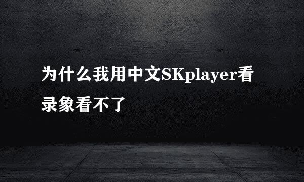 为什么我用中文SKplayer看录象看不了