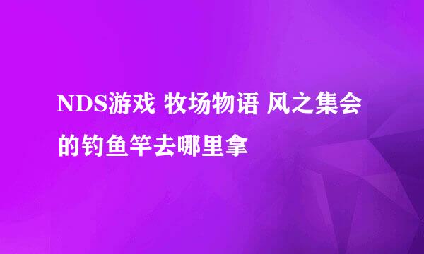 NDS游戏 牧场物语 风之集会的钓鱼竿去哪里拿