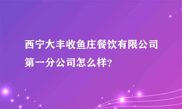 西宁大丰收鱼庄餐饮有限公司第一分公司怎么样？