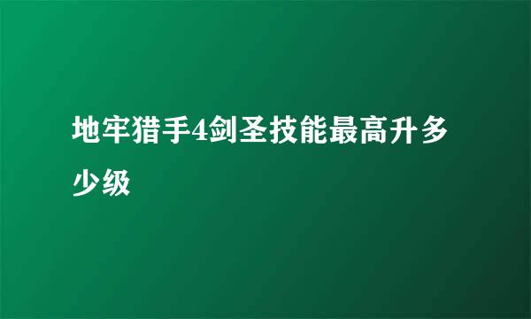 地牢猎手4剑圣技能最高升多少级