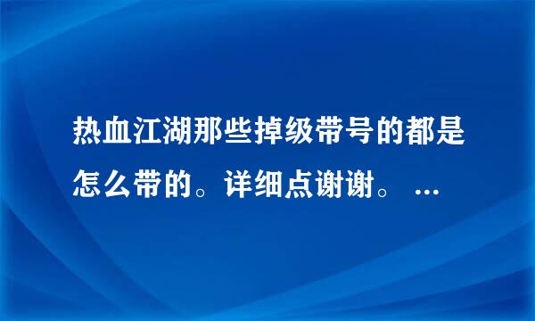 热血江湖那些掉级带号的都是怎么带的。详细点谢谢。 代练都是怎么带的