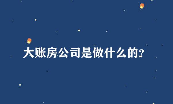 大账房公司是做什么的？