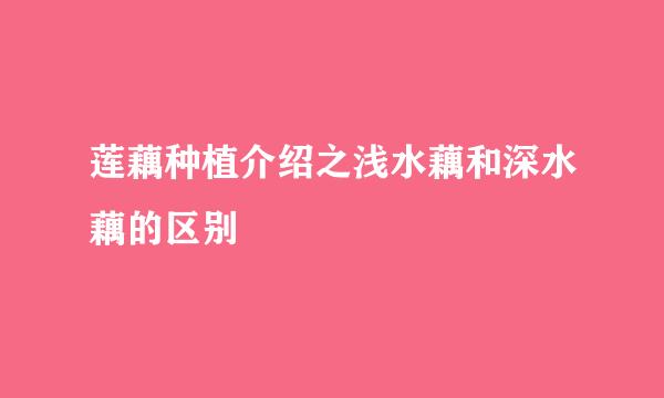 莲藕种植介绍之浅水藕和深水藕的区别