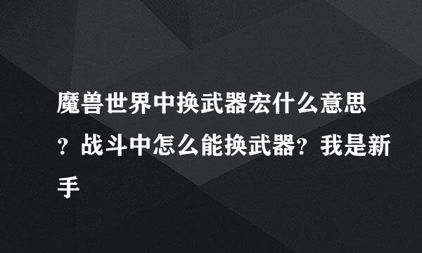 魔兽世界中换武器宏什么意思？战斗中怎么能换武器？我是新手