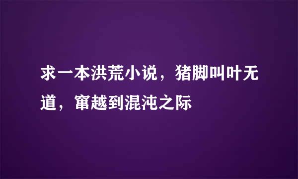 求一本洪荒小说，猪脚叫叶无道，窜越到混沌之际