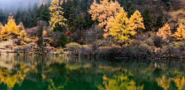 毕棚沟在四川什么地方？