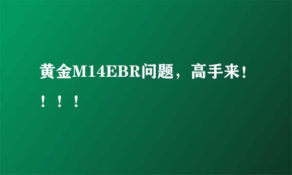 黄金M14EBR问题，高手来！！！！