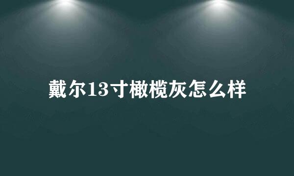 戴尔13寸橄榄灰怎么样