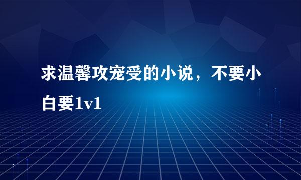 求温馨攻宠受的小说，不要小白要1v1