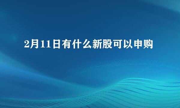 2月11日有什么新股可以申购