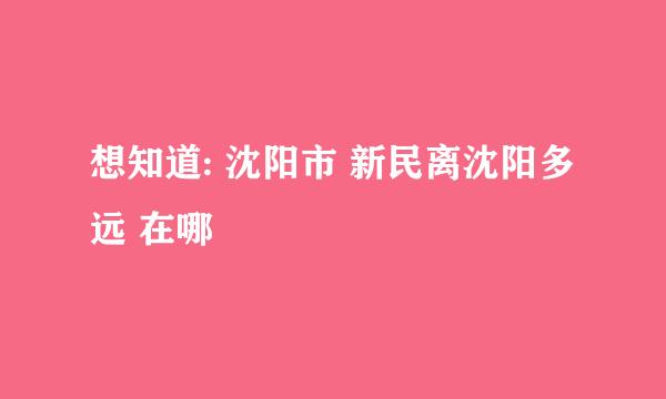 想知道: 沈阳市 新民离沈阳多远 在哪