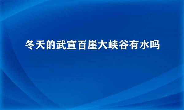 冬天的武宣百崖大峡谷有水吗