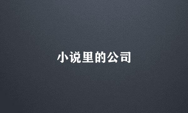 小说里的公司