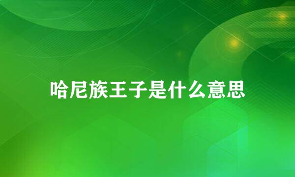 哈尼族王子是什么意思