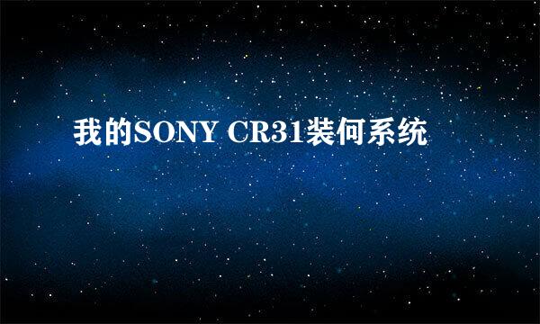 我的SONY CR31装何系统