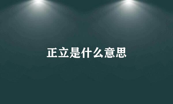 正立是什么意思