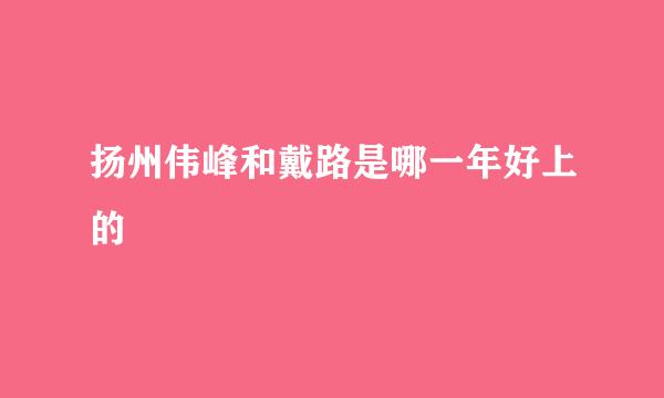 扬州伟峰和戴路是哪一年好上的