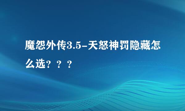 魔怨外传3.5-天怒神罚隐藏怎么选？？？