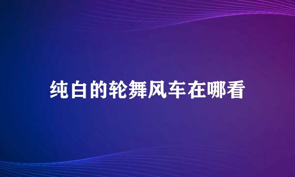 纯白的轮舞风车在哪看