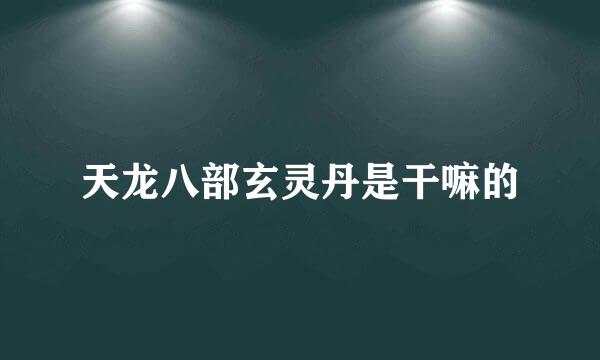 天龙八部玄灵丹是干嘛的