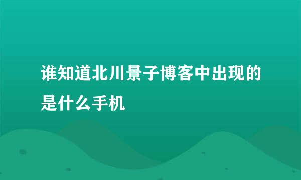 谁知道北川景子博客中出现的是什么手机