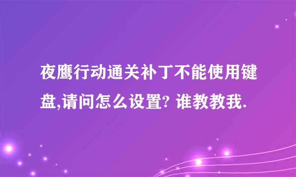 夜鹰行动通关补丁不能使用键盘,请问怎么设置? 谁教教我.