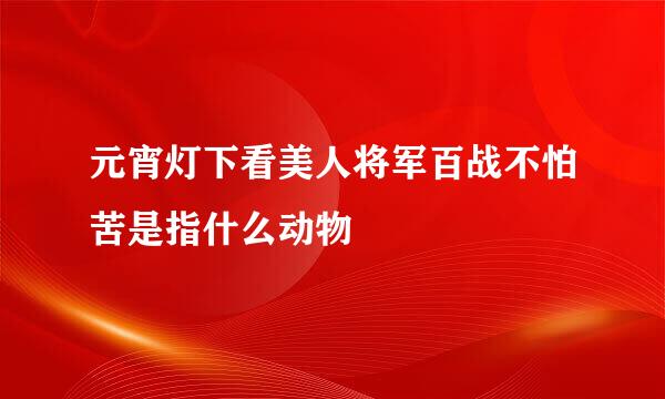 元宵灯下看美人将军百战不怕苦是指什么动物