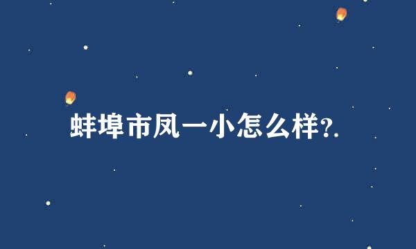 蚌埠市凤一小怎么样？