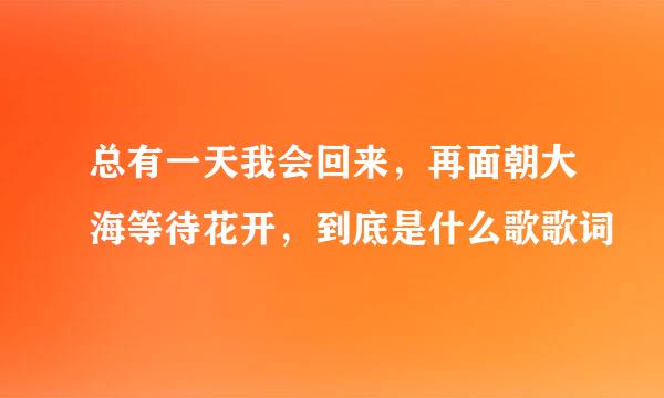 总有一天我会回来，再面朝大海等待花开，到底是什么歌歌词