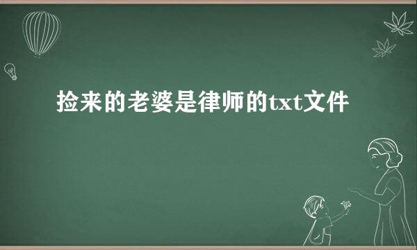 捡来的老婆是律师的txt文件