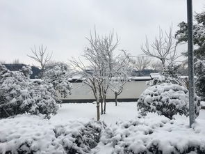 山西运城，一超市顶棚被暴雪压塌4人受伤，暴风雪给当地造成了什么影响？