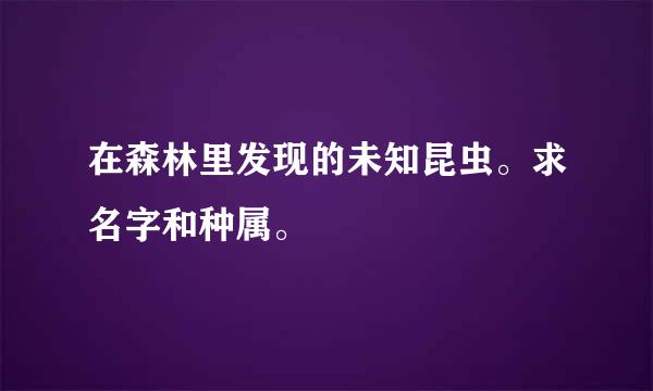 在森林里发现的未知昆虫。求名字和种属。