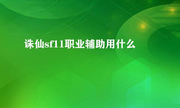 诛仙sf11职业辅助用什么