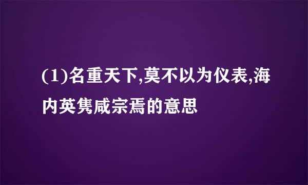 (1)名重天下,莫不以为仪表,海内英隽咸宗焉的意思