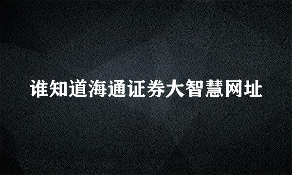 谁知道海通证券大智慧网址